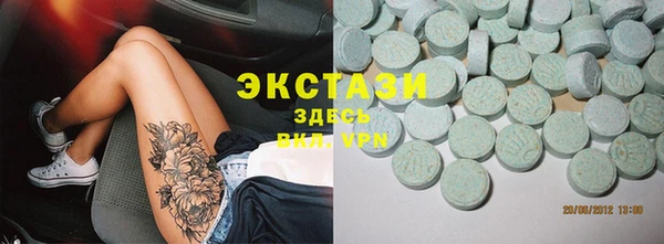 индика Инта