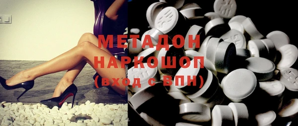 индика Инта