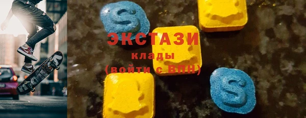 индика Инта
