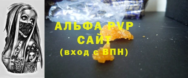 шишки Инсар