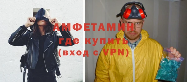 индика Инта