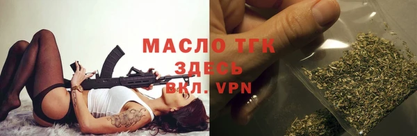 индика Инта
