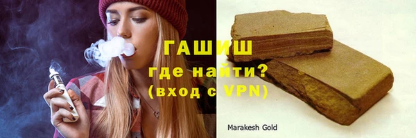 индика Инта