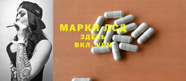 индика Инта