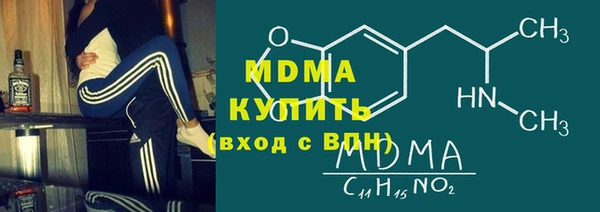 индика Инта
