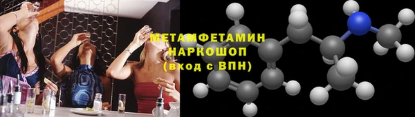 шишки Инсар