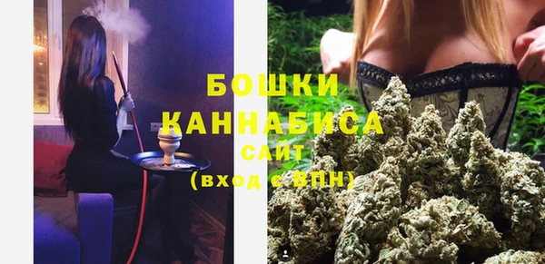 индика Инта