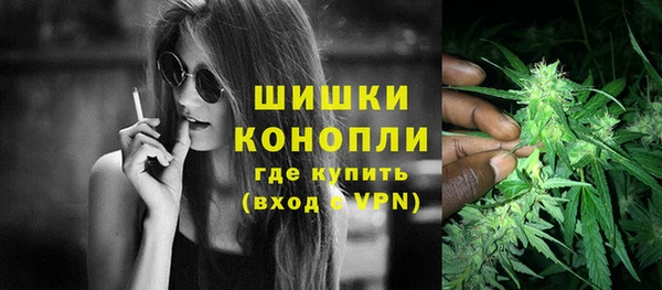 шишки Инсар