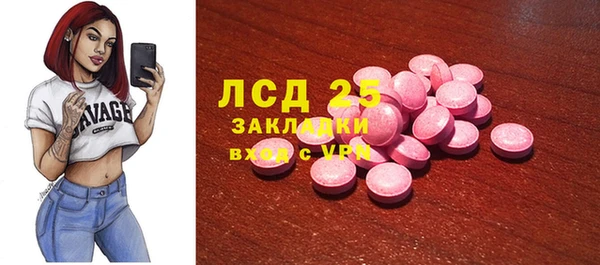 индика Инта