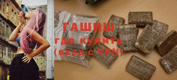 индика Инта