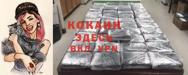 индика Инта