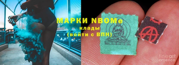 шишки Инсар