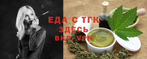 индика Инта