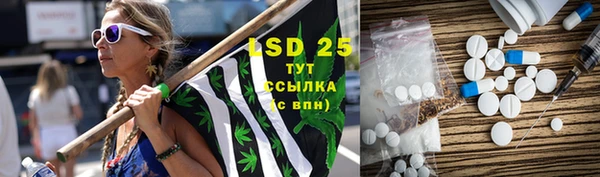шишки Инсар