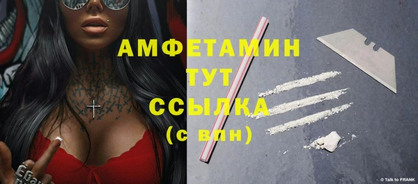 индика Инта